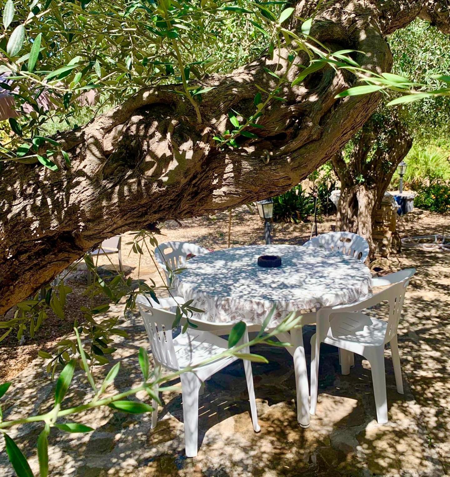 Casa Dell'Olio - Al Baglio Villa Paceco Exteriör bild
