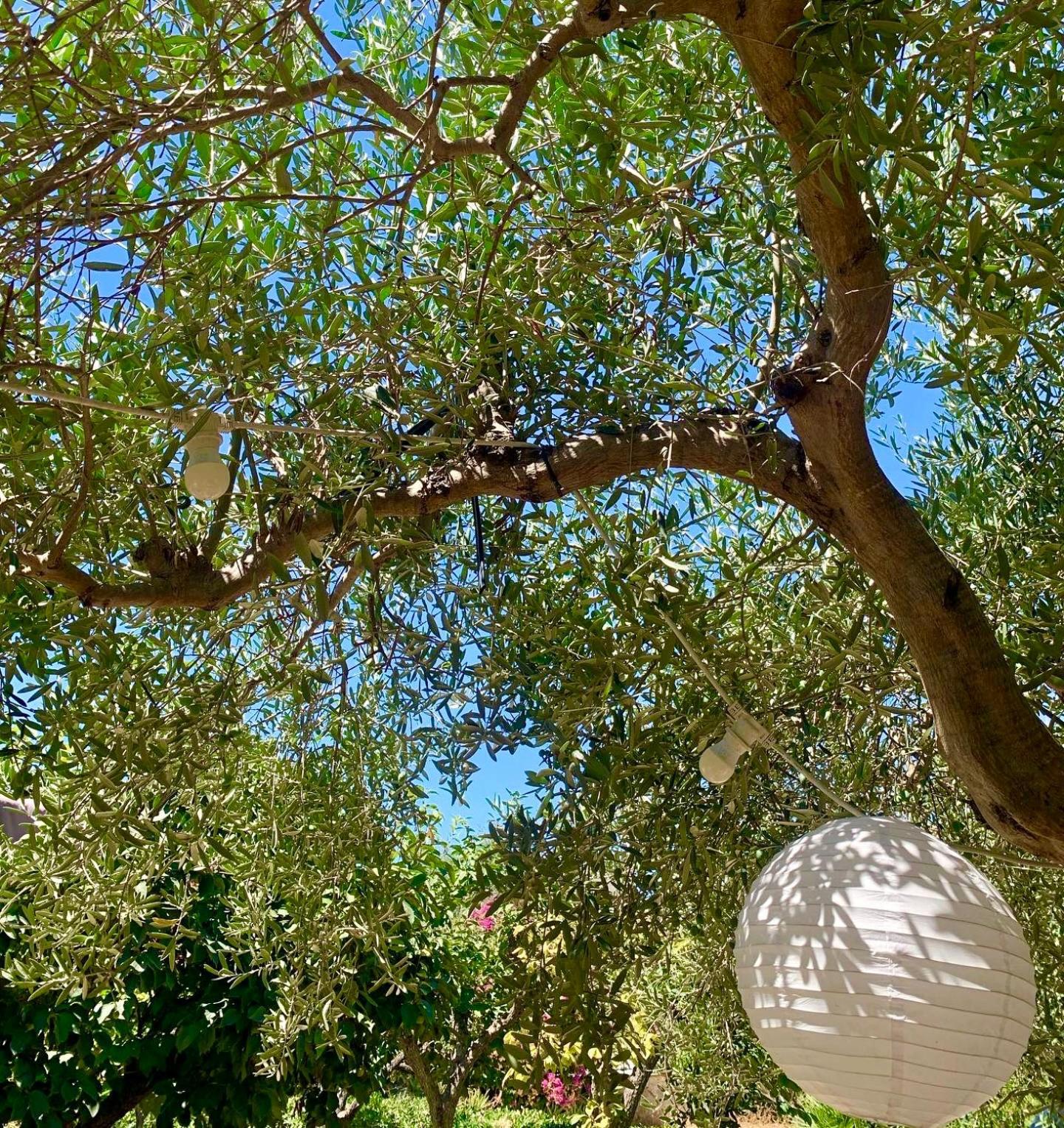 Casa Dell'Olio - Al Baglio Villa Paceco Exteriör bild